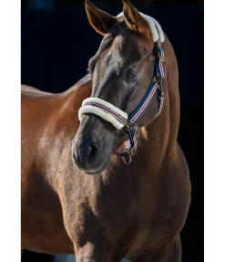 Licol en polaire Teddy Essential II Fourrure D'Agneau|Licols Pour Poneys & Poulains