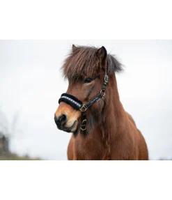 Sale Licol en polaire Teddy Norway Spirit Fourrure D'Agneau|Licols Synthétiques