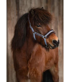 Sale Licol en polaire Teddy Norway Spirit Fourrure D'Agneau|Licols Synthétiques