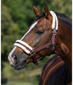 Clearance Licol en polaire Teddy à prix cassé III Fourrure D'Agneau|Licols Pour Poneys & Poulains