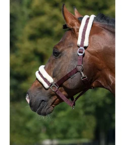 Clearance Licol en polaire Teddy à prix cassé III Fourrure D'Agneau|Licols Pour Poneys & Poulains