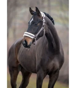 Hot Licol en polaire Teddy à prix cassé III Fourrure D'Agneau|Licols Pour Poneys & Poulains