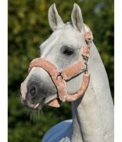 Sale Licol en polaire Teddy Protection Fourrure D'Agneau|Licols Pour Poneys & Poulains