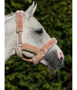 Sale Licol en polaire Teddy Protection Fourrure D'Agneau|Licols Pour Poneys & Poulains