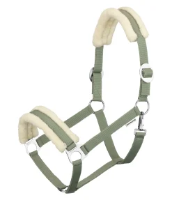 Outlet Licol en polaire Teddy à prix cassé III Fourrure D'Agneau|Licols Pour Poneys & Poulains