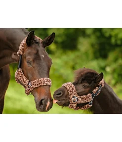 Licol en polaire Teddy Protection Fourrure D'Agneau|Licols Pour Poneys & Poulains
