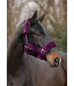 Outlet Licol en polaire Teddy Protection Fourrure D'Agneau|Licols Pour Poneys & Poulains