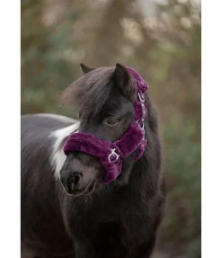 Outlet Licol en polaire Teddy Protection Fourrure D'Agneau|Licols Pour Poneys & Poulains