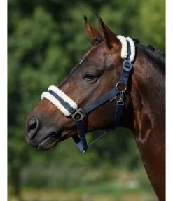 Online Licol en polaire Teddy à prix cassé III Fourrure D'Agneau|Licols Pour Poneys & Poulains