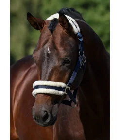 Online Licol en polaire Teddy à prix cassé III Fourrure D'Agneau|Licols Pour Poneys & Poulains