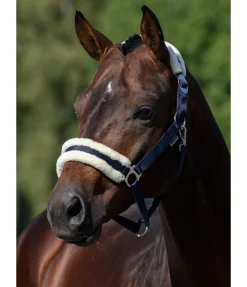 Online Licol en polaire Teddy à prix cassé III Fourrure D'Agneau|Licols Pour Poneys & Poulains