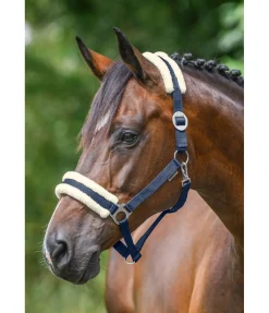 Online Licol en polaire Teddy à prix cassé III Fourrure D'Agneau|Licols Pour Poneys & Poulains