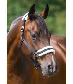 Online Licol en polaire Teddy à prix cassé III Fourrure D'Agneau|Licols Pour Poneys & Poulains