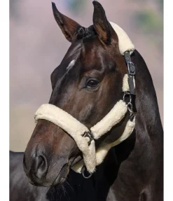 Best Licol en polaire Teddy Protection Fourrure D'Agneau|Licols Pour Poneys & Poulains