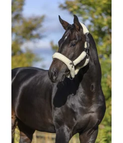 Best Licol en polaire Teddy Protection Fourrure D'Agneau|Licols Pour Poneys & Poulains