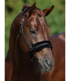 Licol en polaire Teddy à prix cassé III Fourrure D'Agneau|Licols Pour Poneys & Poulains