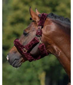 Online Licol en polaire Teddy Protection Fourrure D'Agneau|Licols Pour Poneys & Poulains