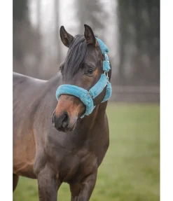 Discount Licol en polaire Teddy Protection Fourrure D'Agneau|Licols Pour Poneys & Poulains