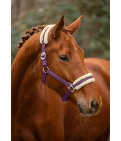Outlet Licol en polaire Teddy à prix cassé III Fourrure D'Agneau|Licols Pour Poneys & Poulains