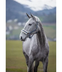 Best Licol en polaire Teddy à prix cassé III Fourrure D'Agneau|Licols Pour Poneys & Poulains