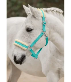 Sale Licol en polaire Teddy à prix cassé III Fourrure D'Agneau|Licols Pour Poneys & Poulains