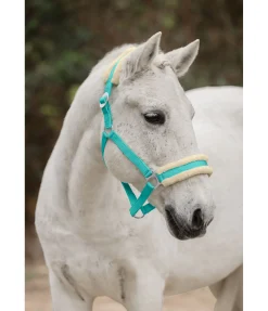 Sale Licol en polaire Teddy à prix cassé III Fourrure D'Agneau|Licols Pour Poneys & Poulains