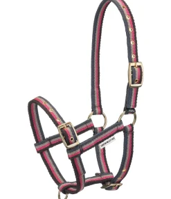 Clearance Licol poulain Darling Licols Pour Poneys & Poulains|Licols Synthétiques