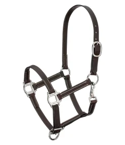 Licol poulain en cuir Classic Licols Pour Poneys & Poulains|Licols En Cuir