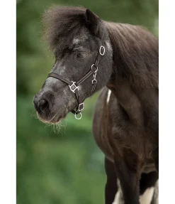 Licol poulain en cuir Classic Licols Pour Poneys & Poulains|Licols En Cuir