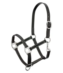 Sale Licol poulain en cuir Classic Licols Pour Poneys & Poulains|Licols En Cuir