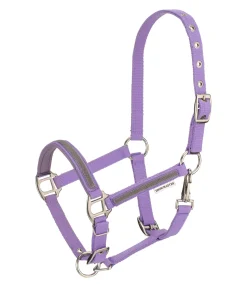 Discount Licol poulain et shetland Blaire Licols Pour Poneys & Poulains|Licols Synthétiques