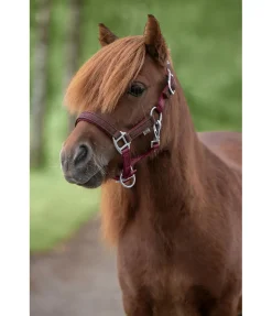 Online Licol poulain et shetland Twinkle Licols Pour Poneys & Poulains|Licols Synthétiques