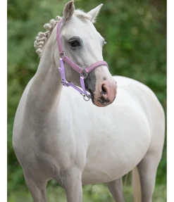 Licol poulain et shetland Twinkle Licols Pour Poneys & Poulains|Licols Synthétiques