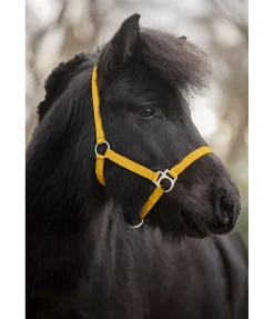 Online Licol poulain et shetland Grow With You Licols Pour Poneys & Poulains