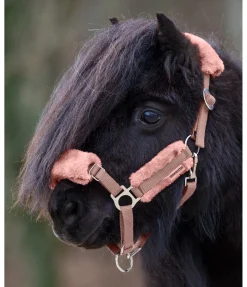 Online Licol poulain et shetland en polaire Teddy Cozy Adjustable Fourrure D'Agneau|Licols Pour Poneys & Poulains