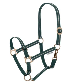 Licol poulain et shetland Shimmering Licols Pour Poneys & Poulains|Licols Synthétiques