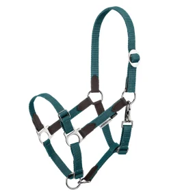 Outlet Licol poulain et shetland Katy Licols Synthétiques|Licols En Cuir