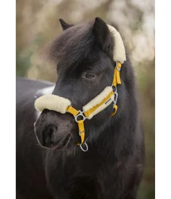 Licol poulain et shetland en polaire Teddy Cozy Adjustable Fourrure D'Agneau|Licols Pour Poneys & Poulains