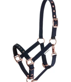 Licol poulain et shetland Future Star Licols Pour Poneys & Poulains|Licols Synthétiques