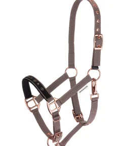 Discount Licol poulain et shetland Future Star Licols Pour Poneys & Poulains|Licols Synthétiques