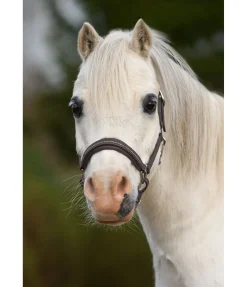 Licol poulain et shetland en cuir orné de strass Selina Licols Pour Poneys & Poulains|Licols En Cuir