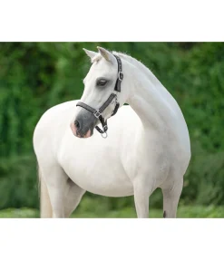 Online Licol poulain et shetland Twinkle Licols Pour Poneys & Poulains|Licols Synthétiques