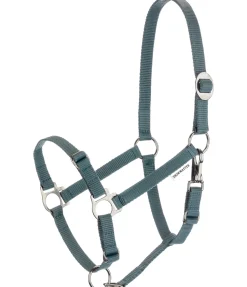 Licol poulain et shetland Grow With You Licols Pour Poneys & Poulains