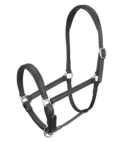 Hot Licol poulain et shetland en cuir Siri Licols Synthétiques|Licols Pour Poneys & Poulains