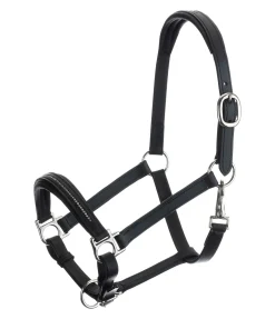 Online Licol poulain et shetland en cuir orné de strass Selina Licols Pour Poneys & Poulains|Licols En Cuir