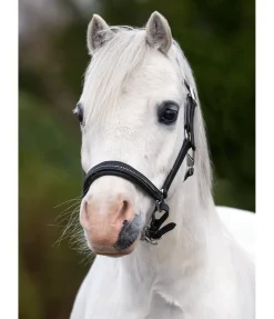 Online Licol poulain et shetland en cuir orné de strass Selina Licols Pour Poneys & Poulains|Licols En Cuir