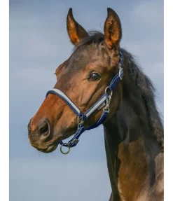 Online Licol poulain et shetland Blaire Licols Pour Poneys & Poulains|Licols Synthétiques