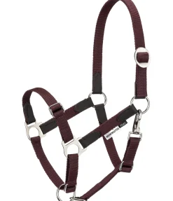 New Licol poulain et shetland Katy Licols Synthétiques|Licols En Cuir