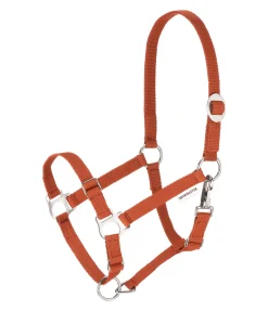 Online Licol poulain et shetland Grow With You Licols Pour Poneys & Poulains