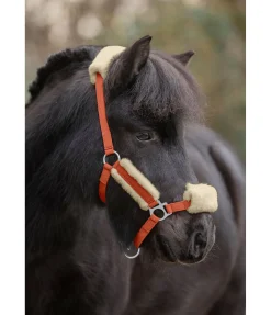 Sale Licol poulain et shetland en polaire Teddy Cozy Adjustable Fourrure D'Agneau|Licols Pour Poneys & Poulains